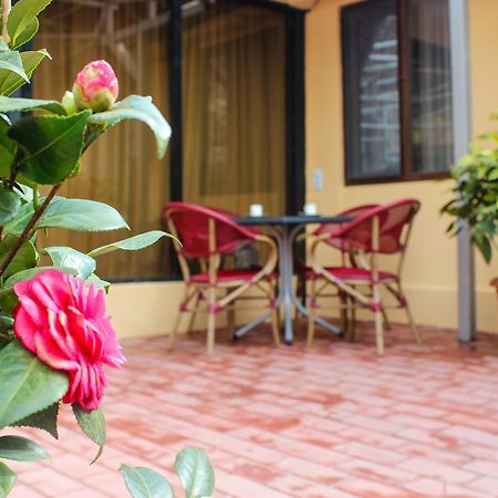 Lasha Apartment Tbilisi Eksteriør bilde